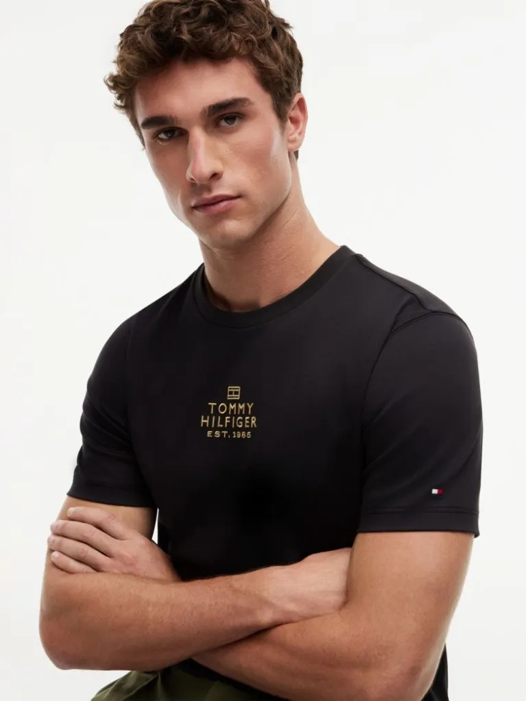 Ανδρικό T-shirt Μαύρο Tommy Hilfiger MW0MW43227-BDS
