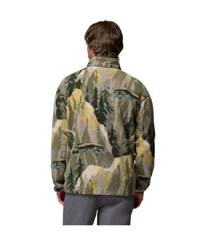 Men's Stone Green Soarin Helvetia II Printed Printed Half Snap Fleece Columbia 2098461-397