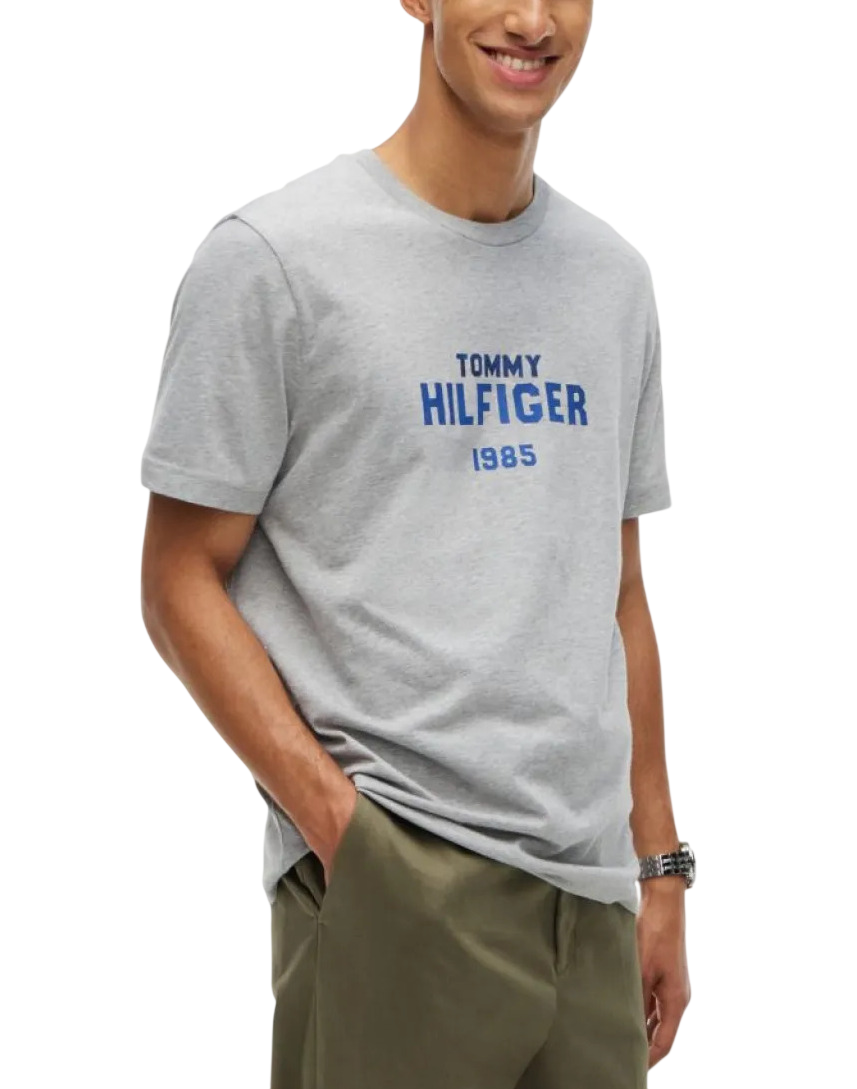 Ανδρικό T-shirt Γκρι Tommy Hilfiger MW0MW44877-P01
