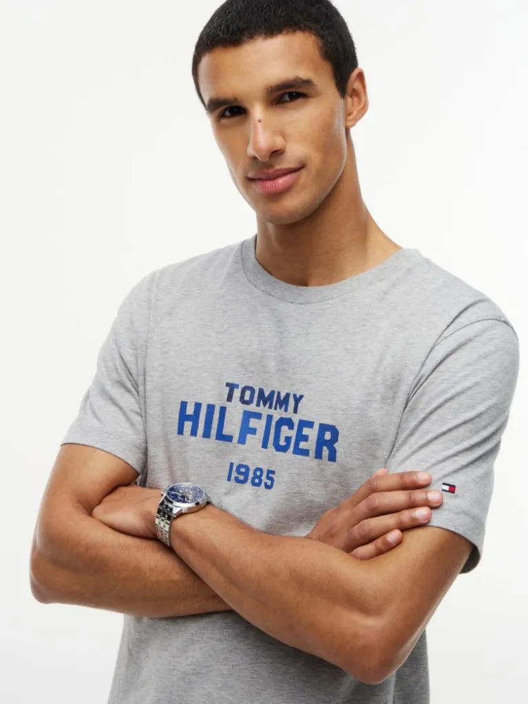 Ανδρικό T-shirt Γκρι Tommy Hilfiger MW0MW44877-P01