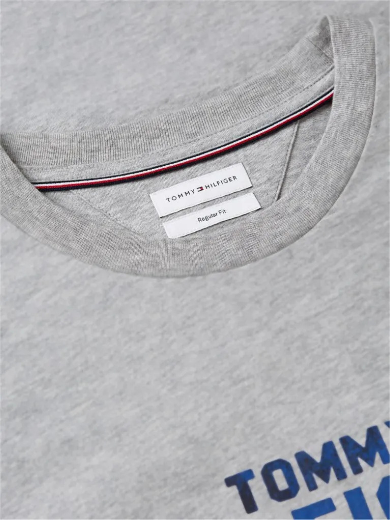 Ανδρικό T-shirt Γκρι Tommy Hilfiger MW0MW44877-P01