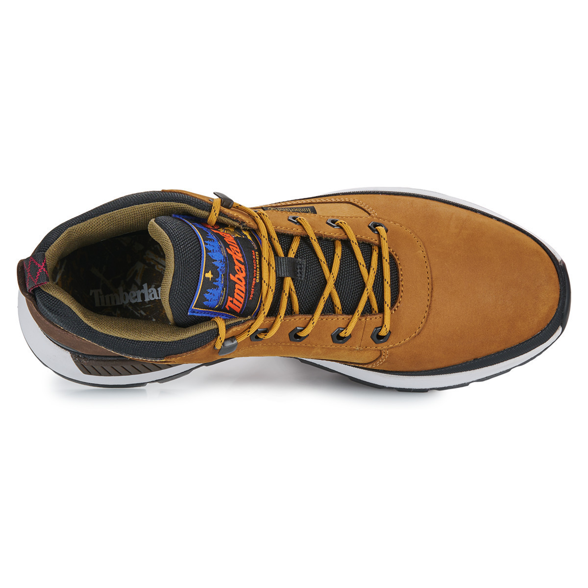 Men's Brown Leather Field Trekker LOW LACE UP SNEAKERS Timberland TB0A6DKN-EM5