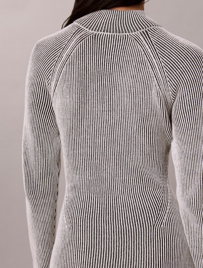 Women's Bicolor Rib Zip Up Dress Calvin Klein LV047H376G-UB1