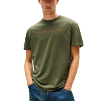 Ανδρικό T-shirt Πράσινο Tommy Jeans DM0DM20744-0H8