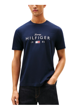 Ανδρικό T-shirt Navy Μπλε Tommy Hilfiger MW0MW41455-DW5