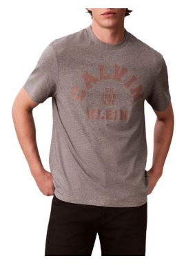 Ανδρικό T-shirt Μαύρο Γκρι Calvin Klein LV04RE810G-P7E