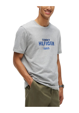 Ανδρικό T-shirt Γκρι Tommy Hilfiger MW0MW44877-P01