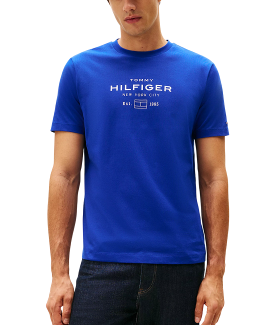 Ανδρικό T-shirt Μπλε Tommy Hilfiger MW0MW40002-D03