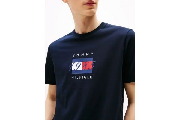 Ανδρικό T-shirt Navy Μπλε Tommy Hilfiger MW0MW41338-DW5