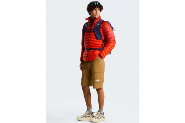 Men's Brown M Exploration Cargo Shorts The North Face NF0A8EC7-1731