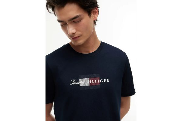Men's Navy Blue Script Flag Regular Tee Tommy Hilfiger MW0MW43226-DW5