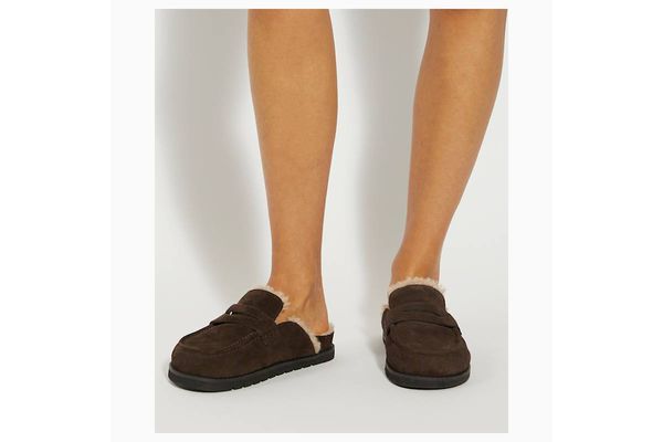 Women's Brown GOLDY MULE Dune London 0076500620126330-BROWN